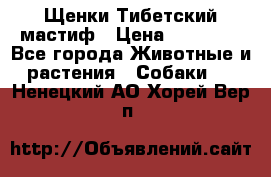  Щенки Тибетский мастиф › Цена ­ 50 000 - Все города Животные и растения » Собаки   . Ненецкий АО,Хорей-Вер п.